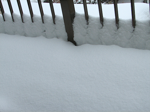 起きたら20cm以上の積雪、今日いっぱい雪