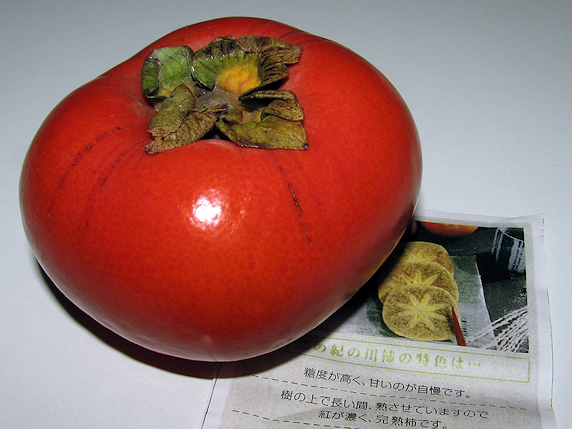 紀ノ川柿を食す
