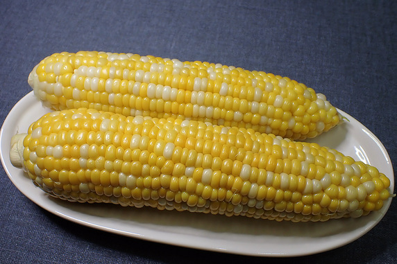 Ƃ낱H׎