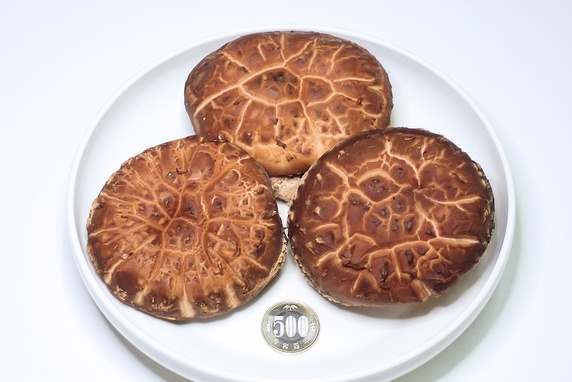 原木しいたけを素焼きで食べる